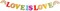 Love is Love Gay Pride LGBT Rainbow Party Banner for Bisexuality, Transgender and Gay Lesbian Pride, Bars Decoration LGBT Rainbow Decoration LGBT Party Pride Month Decoration Pre-assembled
